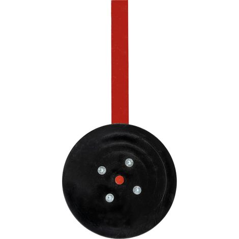 Avanvomere completo con disco 310mm e braccio 500x300mm (1/5)
