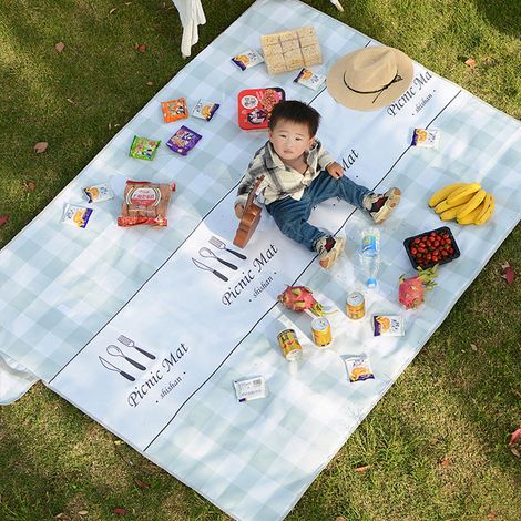 Tapis de pique-nique style Instagram, idéal pour les sorties en plein air, tapis d'extérieur épais et portable, résistant à l'humidité, pour les balades printanières sur la pelouse, vaisselle à carrea (1/5)
