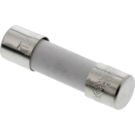 Cartouche fusible RS PRO, 4A, 5 x 20mm, Type T, 250V c.a.