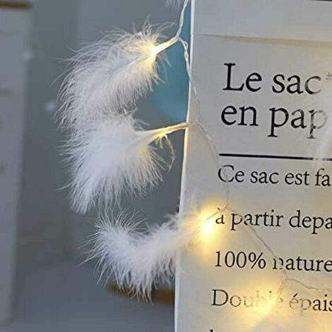 Plumes Guirlande Lumineuse Plumes Fée Artificielles Lumineuses Guirlandes Blanc Chaud Décorations Murales Intérieures Extérieures, 3M 20 Leds (Blanc) Guirlande lumineuse (1/4)