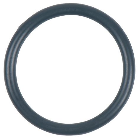 O-Ring (1/2)