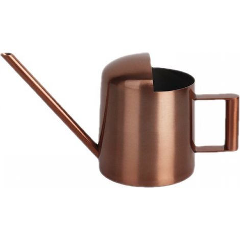 Petite bouteille d'eau brune de 300 ml, mini en acier inoxydable pour une utilisation en intérieur. (1/3)