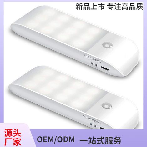 Lot de 2 veilleuses intelligentes à 12 LED, rechargeables par USB, avec capteur de lumière pour armoire ou placard, blanc froid. (1/5)