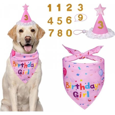 Écharpe triangulaire rose de 27,5 pouces de long, chapeau de 3,5  4,5 pouces avec chiffres, ensemble de 3 pièces pour anniversaire de chien (1/5)