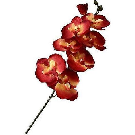 Orchidées papillons artificielles réalistes en soie, centre de table pour mariage, fête, maison ou bureau, fausse branche florale de phalaenopsisrouge vin (1/5)