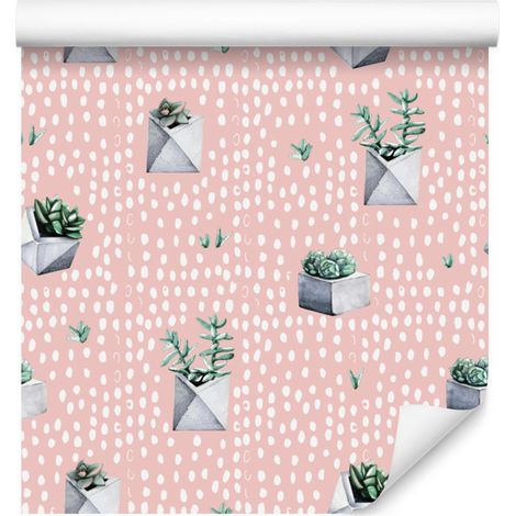 Papier peint cactus en pots pour salon et chambre 50x1000 cm (1/5)