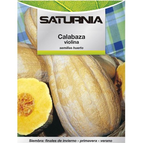 Semillas Huerto Calabaza Violina (1/2)