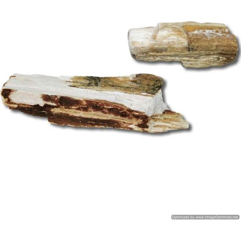 Set 30 pezzi Amtra Roccia Legno Fossile Small