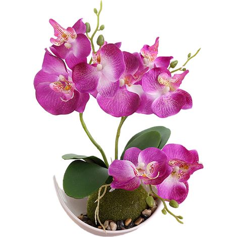 Plante Artificielle - Phalaenopsis En Pot - Pot Forme De Lune - Décoration Intérieure - 1 Pièce (1/5)