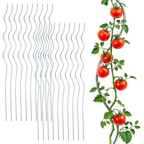 Tomaten Spiralstab verzinkt 110 cm - 20er Set - Metall Rankstab für Tomatenpflanzen