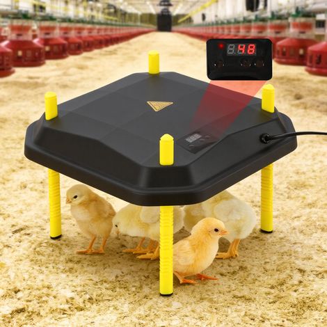 Jiubiaz Placa calefactora para pollitos de 42 W, 40 x 40 cm, con regulador de temperatura, negra/amarilla, para gallinas