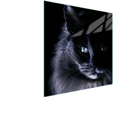 GLASSCHUTZPLATTE FÜR HERD 50x52 CAT (1/5)