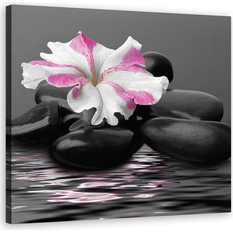 Quadro su tela, Stones Pink Flower Zen - 60x60 (1/4)