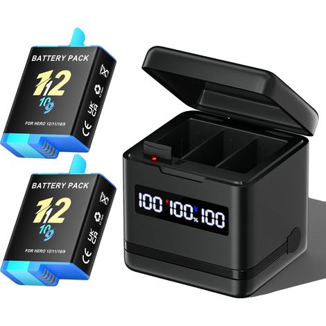 Kameraakku, 2000mAh Kapazität, Schnellladegerät mit LCD, 2 Batterien 1 Ladegerät (1/2)