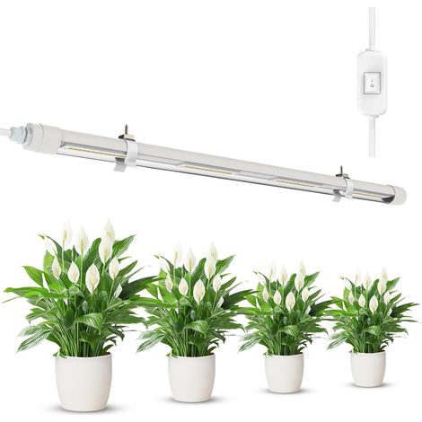 Lampe Horticole à Spectre Complet T8 25W, Tube 60cm, IP54 Etanche (1/5)