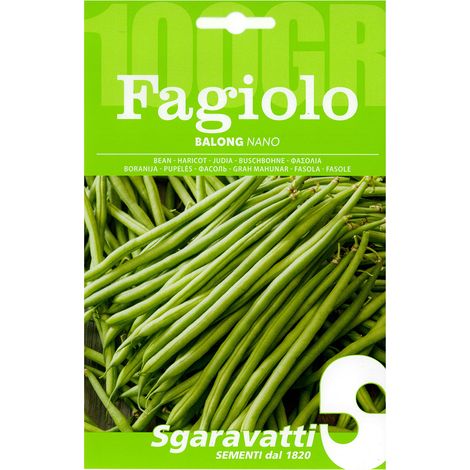 SEMI PER FAGIOLI fagiolo nano balong - gr 100 Q.TA 5 fagiolo nano balong - gr 100