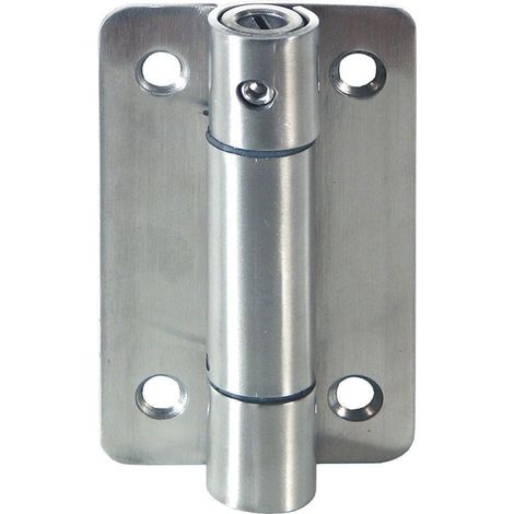 Cabina Sanitaria Bisagra Con Muelle Acero Inox (1/5)