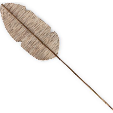 Ornement Naturel Feuille en Jacinthe - Feuille jacinthe ton naturel (1/2)
