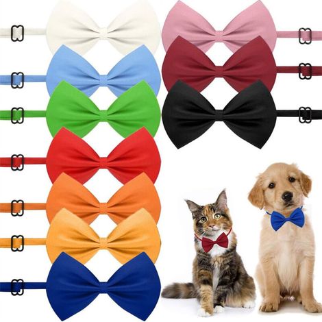 [JAMAIS UTILISÉ] Lot de 10 colliers pour chiens en chats