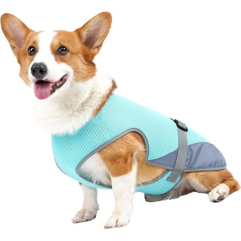1 unité (S) Veste Rafraîchissante pour Chien, Matériau élégant et Respirant, Gilet Rafraîchissant pour Les Chaudes Journées d'été (1/5)