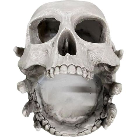 Plateau à Bijoux, Boîte Crâne pour Petits Objets, Support de Présentation (1/5)