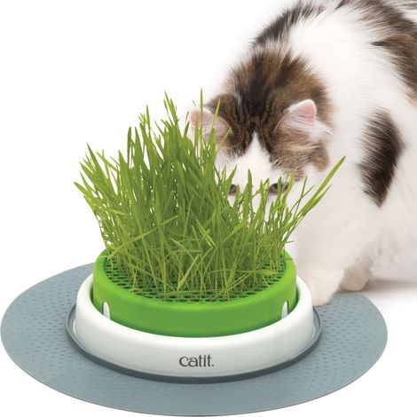 Germinador de Hierba Gatera Catit Senses (1/5)