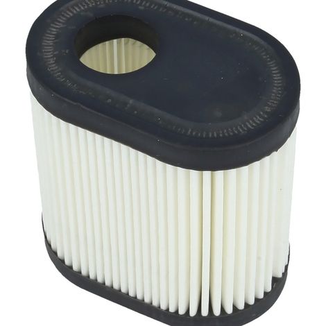 Compatible with the Tecumseh 36905 740083A lawnmower filter, filter cartridge for lawnmowers and hedge trimmers. (1/5)