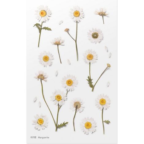 Adesivi decorativi a forma di fiore - Margaretki