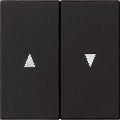 Interruttore Gira 0294005 doppio opaco freccia