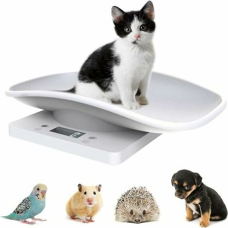 VURAHOME - Balance numérique pour animaux de compagnie Balance électronique pour aliments de cuisine avec écran LCD 10 kg/22 lb (1/5)