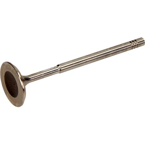 Soupape d'admission Freccia R6013/S AUDI 036 109 601S