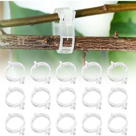 Tomatenstütze, 300 Stück, Kletterpflanzenstütze, Monstera-Rankgitter, Pflanzenclips für Gemüse, Tomaten (300 Stück)
