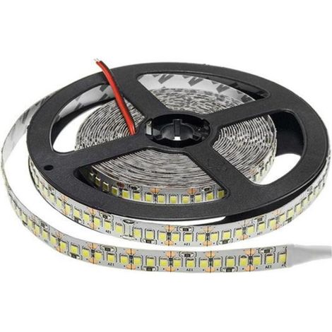 Ruban LED 12V 5M 2835 IP20 204LED/m - Blanc Froid 6000K - 8000K - SILAMP