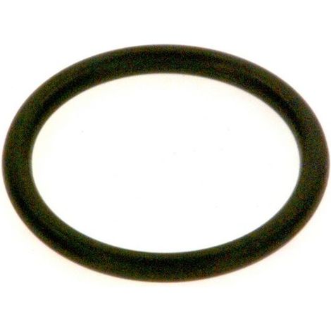 BOSCH O-ring 23,47x2,62 (2x), 7101504