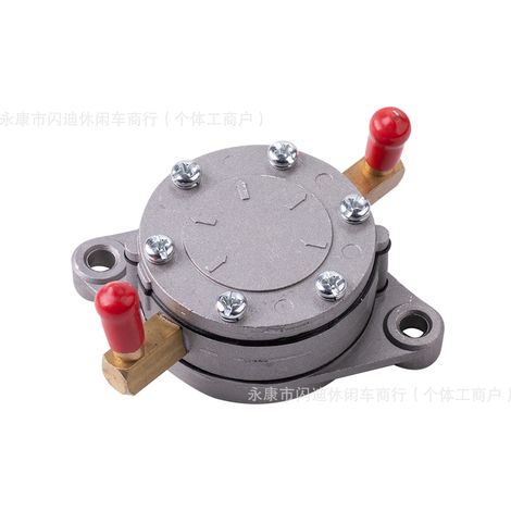 Pompe à essence de remplacement 24233G1 pour voiturette de golf EZGO 2 (modèles 1982-1988) (1/5)