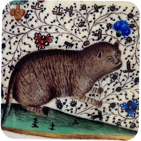 Dessous de verre médiévaux à motif chat, ronds, C-- (1/5)