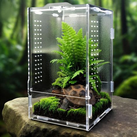 Faunarium, Insektenterrarium, Acryl-Terrarium, Allzweckbehälter für Reptilien, Amphibien, Sprungspinnen, Vogelspinnen, Schnecken, Frösche und Insekten, 20 x 12 x 11 cm (1/5)