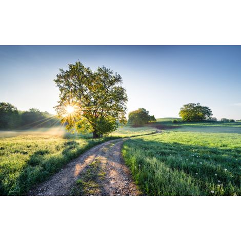 Papier peint panoramique naturel Un Nouveau Jour au Paradis (1/4)