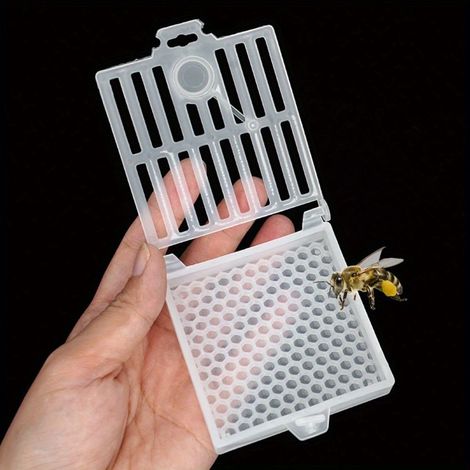 Cage à reine d'apiculture premium avec rayon et cadre de base – Boîte de transport transparente et spacieuse pour reines et mâles (1/4)