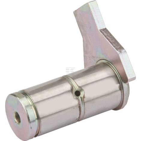 Bullone FN D40x80/99 LEMKEN 3134045 (1/2)