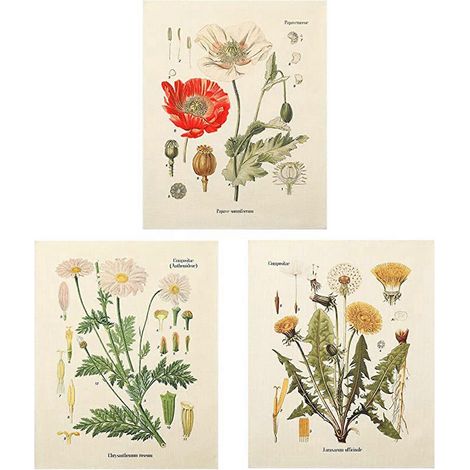 Lot de 3 tapisseries murales à motifs floraux sauvages et végétaux, petite tapisserie pour chambre ou salon (A+B+E) (1/5)