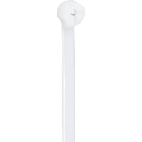 TRU COMPONENTS TC-12814152 Fascetta per cavi 200 mm 4.8 mm Naturale con linguetta metallica, stabilità chimica 100 pz. (1/2)