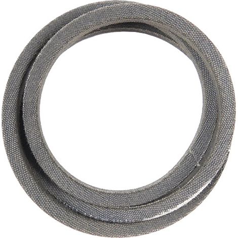 Courroie traction tondeuse – Accessoire pour tondeuse – Compatible modèles 20330, 20331, 20350, 20351 – Pièce d'origine Toro