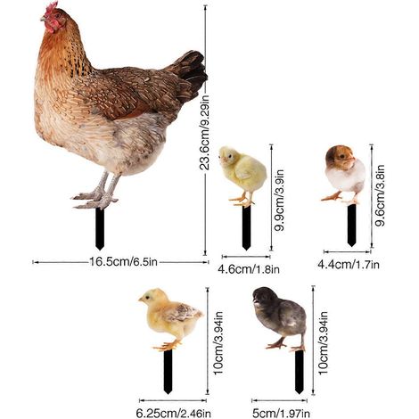 Piquets décoratifs de jardin en forme de coq, décoration extérieure, ornements de poulet - 3 (1/4)