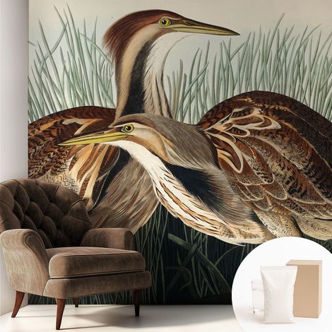 Tapete Vliestapete mit Kleber - abwaschbar - Tapete mit Motiv - trendige Wanddeko - elegant Fototapete Realistische Vögel 250x250 cm (1/5)