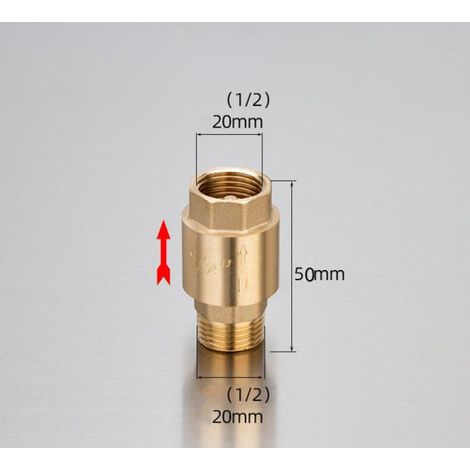 Clapet Anti-Retour - Laiton - Entrée Mâle / Sortie Femelle 20 mm - Pour Pompes Immergées - 1 Pièce (1/3)