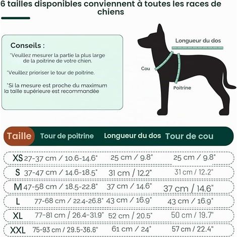Dog Recovery Suit - Post Surgery Suit with Legs, Comfortable Tapered Alternative, Prevent Licking, Grey, XL (1/4)
