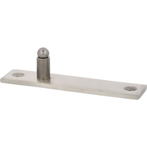 AMIG Charnière PIVOT01 Acier inoxydable AISI 304 Mat (1/5)