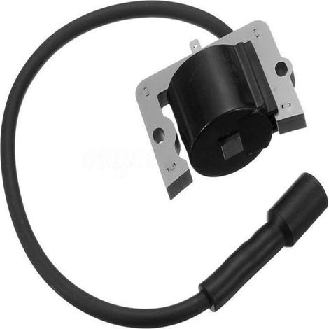 Bobina di accensione ad alta tensione compatibile con 12 584 04-S, 12 584 01-S e 12 584 01-OTHER (1/2)