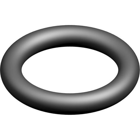 BOSCH O-Ring (10x), 87161034930